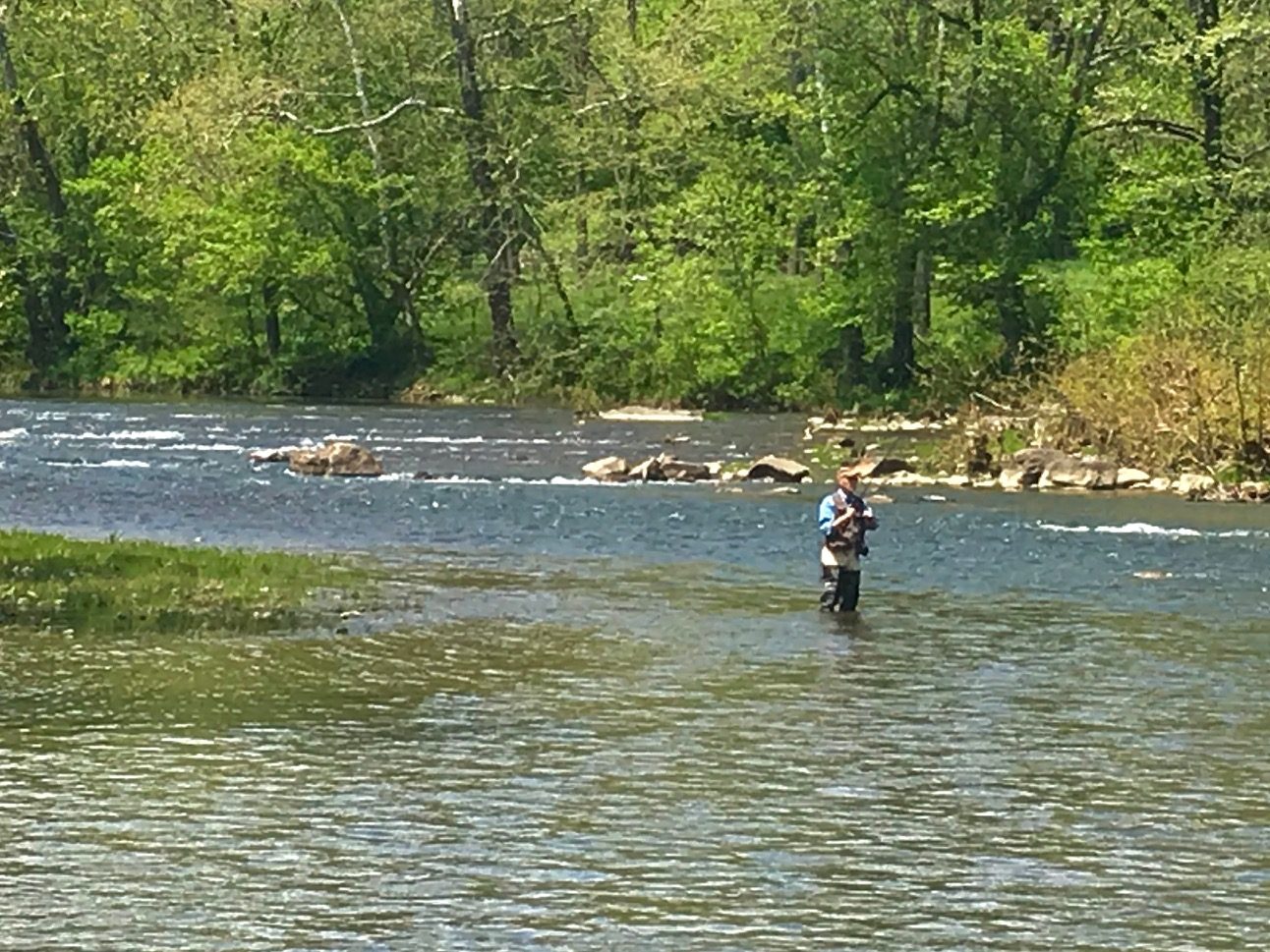 Angler casting on a river